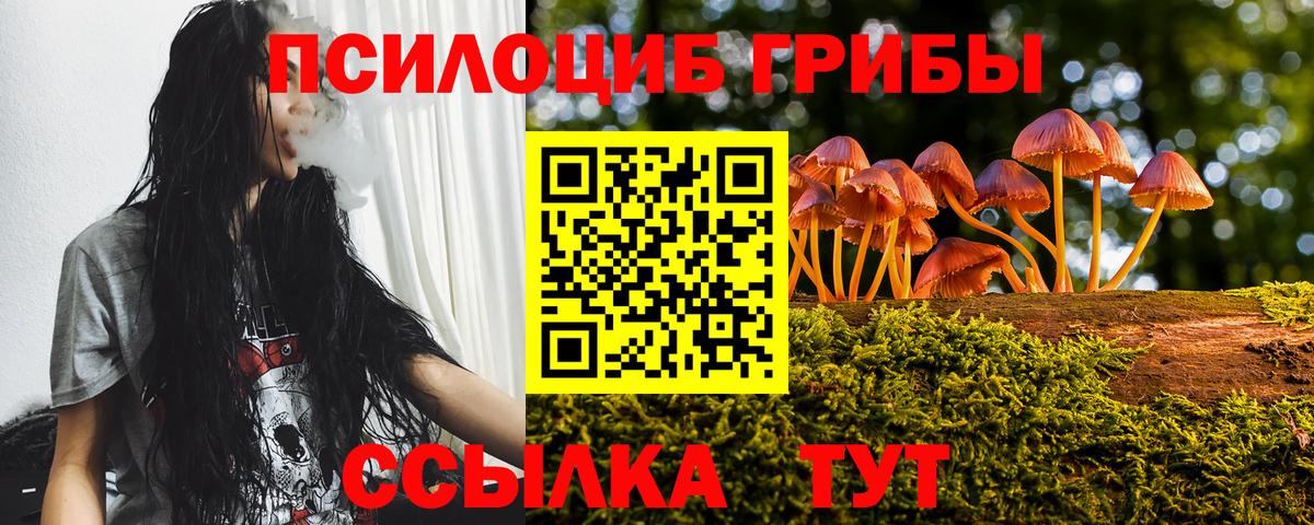 Галлюциногенные грибы мицелий Свободный
