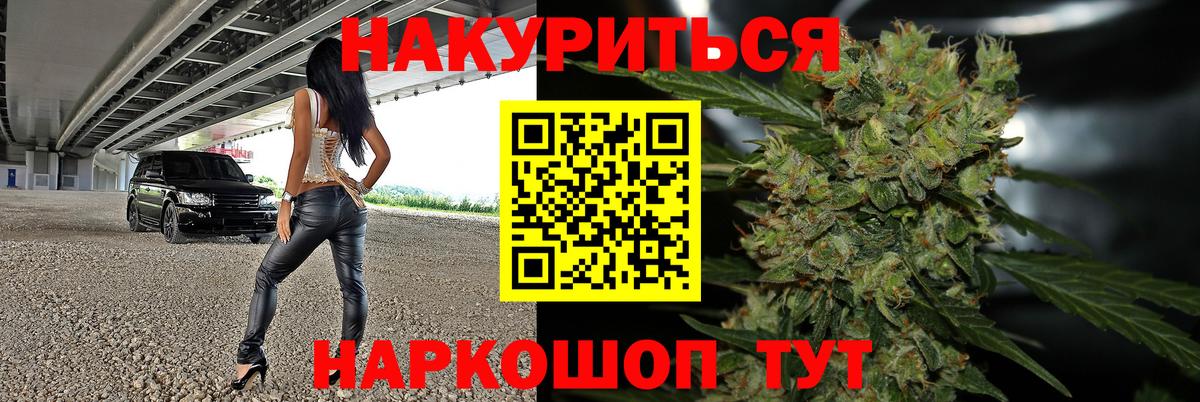 Конопля семена  Бошки Шишки ГИДРОПОН  Свободный  Вход с VPN  МАРИХУАНА планчик 